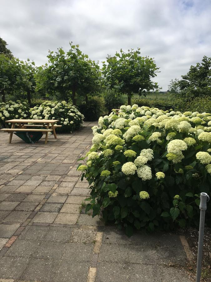 'T Wapen Van Middelie Extérieur photo